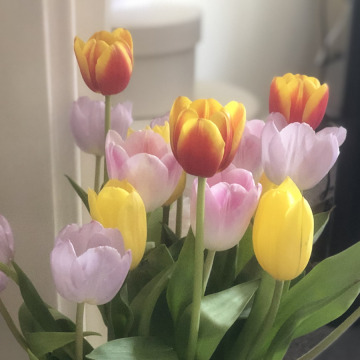 Photo for notice Elizabeth Anne BROWN