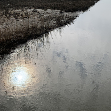 Notice Gallery for Carl TIGHE