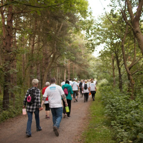 Notice Gallery for VIVIEN ANN   VIV ROLLS