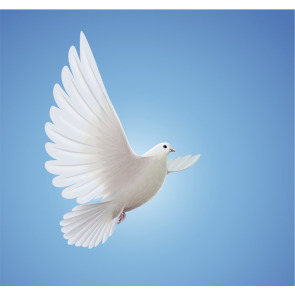 Photo of Barrington James TAYLOR