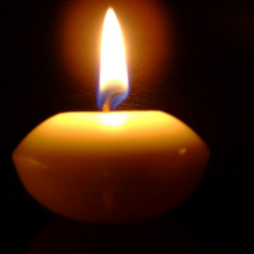 Notice Gallery for Dorothy WILLIAMS