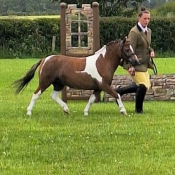 Photo for notice MALCOLM ROWLANDS -
