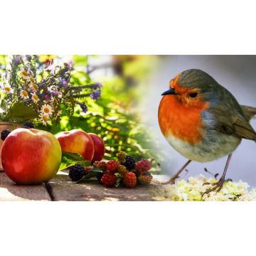 Photo for notice MALCOLM ROWLANDS -