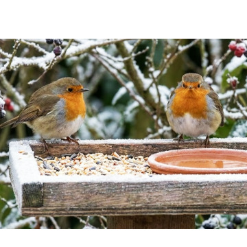 Photo for notice MALCOLM ROWLANDS -