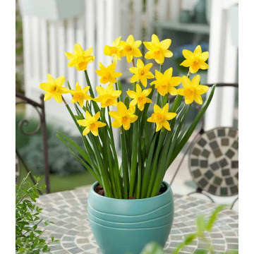 Photo for notice MALCOLM ROWLANDS -