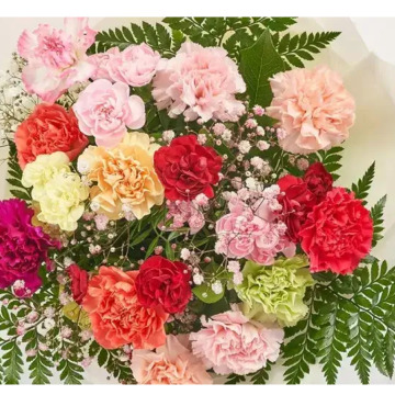 Photo for notice MALCOLM ROWLANDS -