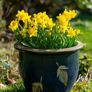 Photo for notice MALCOLM ROWLANDS -