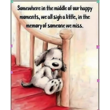 Photo for notice MALCOLM ROWLANDS -