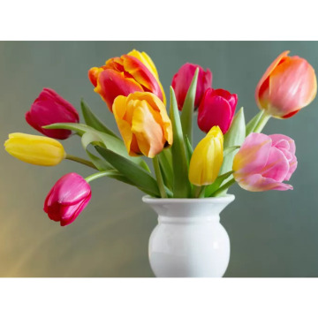 Photo for notice MALCOLM ROWLANDS -