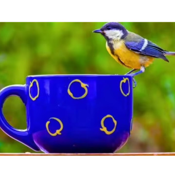 Photo for notice MALCOLM ROWLANDS -