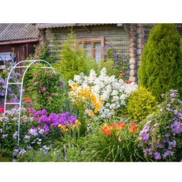 Photo for notice MALCOLM ROWLANDS -