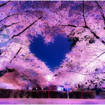Photo for notice MALCOLM ROWLANDS -