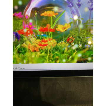 Photo for notice Toni David DEXTER