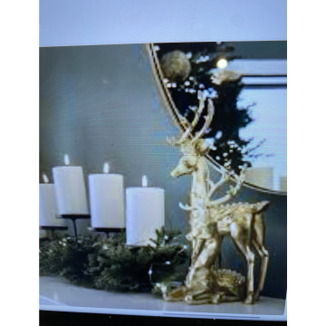 Photo for notice Toni David DEXTER