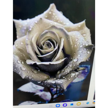 Photo for notice Toni David DEXTER