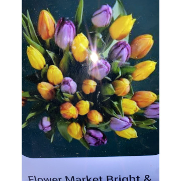 Photo for notice Toni David DEXTER