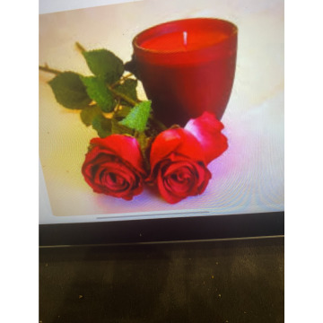 Photo for notice Toni David DEXTER