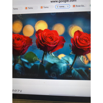 Photo for notice Toni David DEXTER