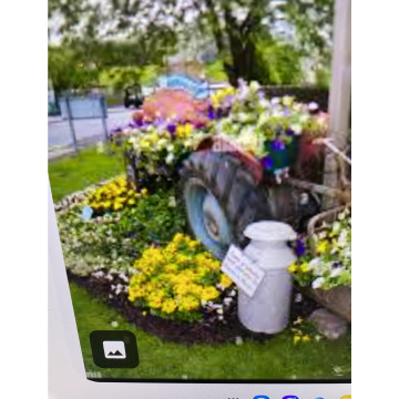 Photo for notice Toni David DEXTER