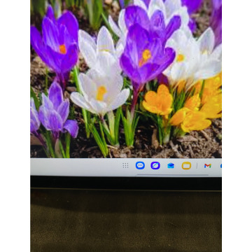 Photo for notice Toni David DEXTER