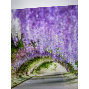 Photo for notice Toni David DEXTER