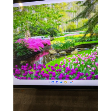 Photo for notice Toni David DEXTER