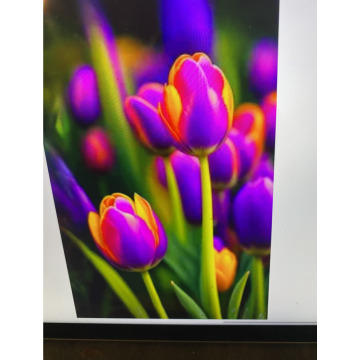 Photo for notice Toni David DEXTER
