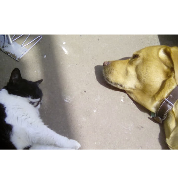 Photo of Thomas Kenneth ROURKE