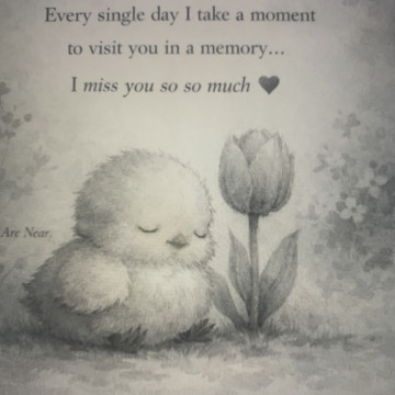 Photo for notice CONNOR MASSEY