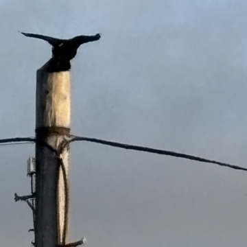 Photo for notice Jack James BRADLEY