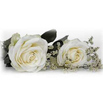 Photo of CHRISTINE SANDERSON