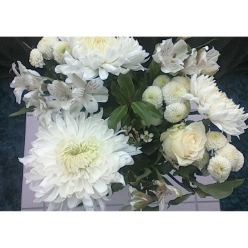 Notice Gallery for Ida May WOOD