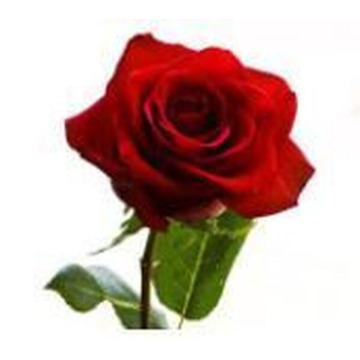 Photo of AUDREY CASH