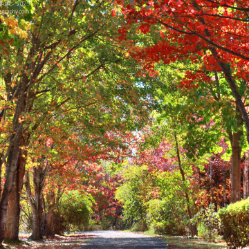 Notice Gallery for Albert James TYRRELL