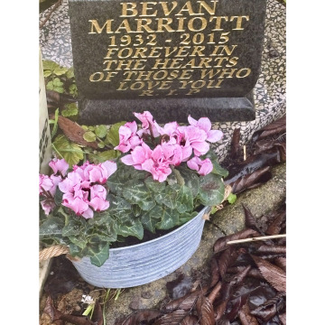 Photo for notice Bev MARRIOTT