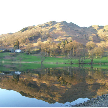 Photo of Harold SCHOFIELD