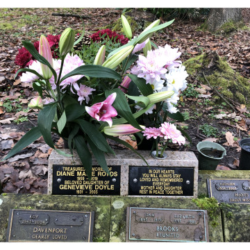 Notice Gallery for DIANE MARIE ROYDS