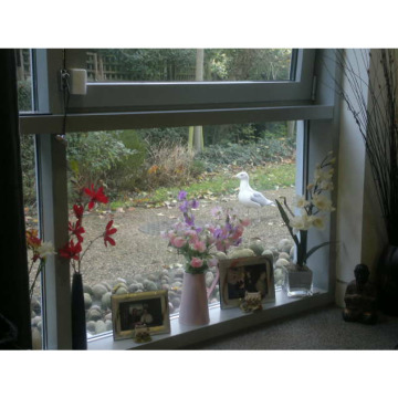 Photo for notice Ann Josephine DAVIN