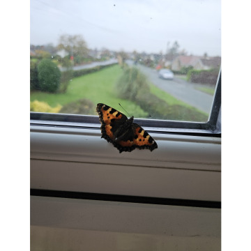 Photo for notice Ann Josephine DAVIN