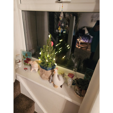 Photo for notice Ann Josephine DAVIN