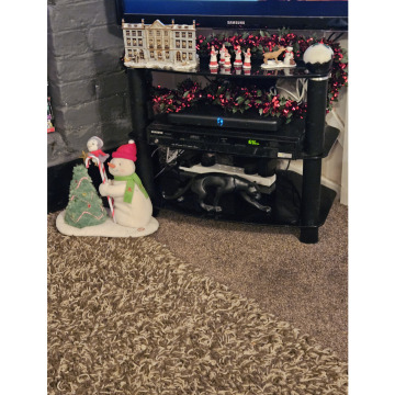 Photo for notice Ann Josephine DAVIN