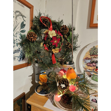 Photo for notice Ann Josephine DAVIN