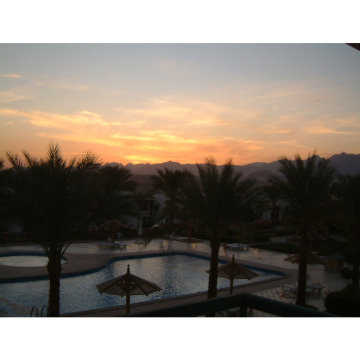 Photo for notice Ann Josephine DAVIN