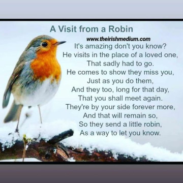 Photo for notice Ann Josephine DAVIN