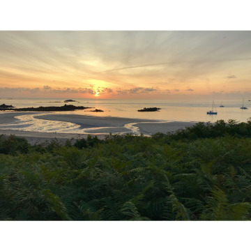 Photo for notice Ann Josephine DAVIN