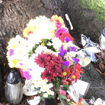 Photo for notice Marjorie Anne TAYLOR