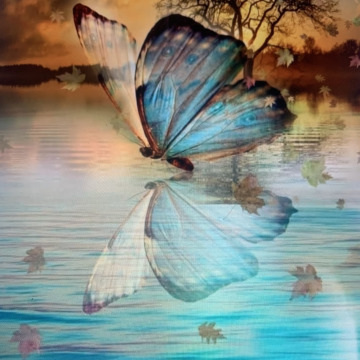 Notice Gallery for CLARA PRYDE