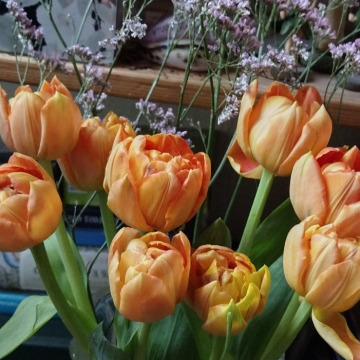 Photo for notice Gaynor BARTLETT