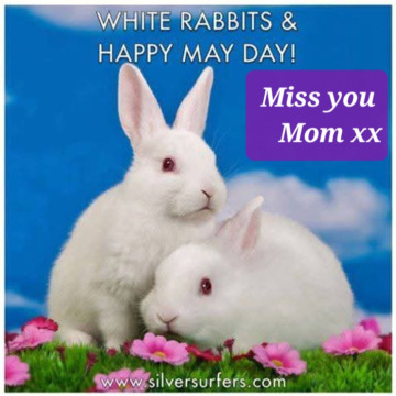 Photo for notice JEAN MARGARET VIZE
