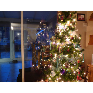 Photo for notice Fiona BULMER